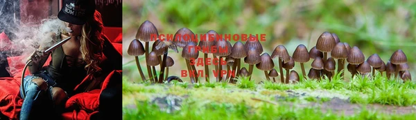 винт Нея
