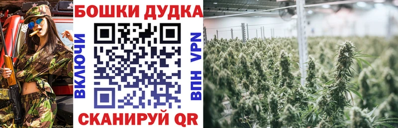 купить  цена  Калач  Бошки Шишки ГИДРОПОН 